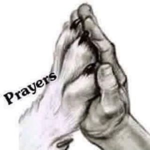 Meet your Posher, Homer